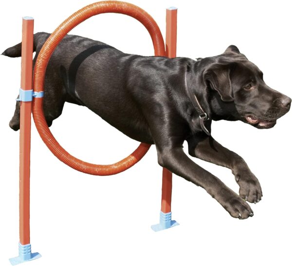 Rosewood Dog Agility Jump includes Bag