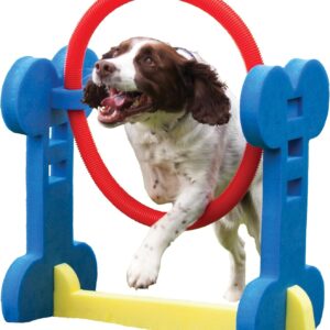 Rosewood Small Dog Agility Hoop,red/blue