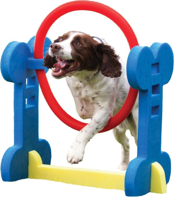 Rosewood Small Dog Agility Hoop,red/blue