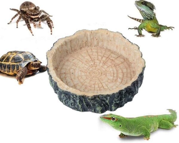 Saim Small Crawler Pet Feeding Round bowl Food Water Non-toxic Resin Dish Suitable for Reptile Turtle Tortoise Scorpion Lizard Crabs Pets Supplies