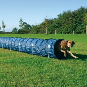 Trixie Dog Activity Agility Basic Tunnel, 60 cm ﾗ 5 m, Blue