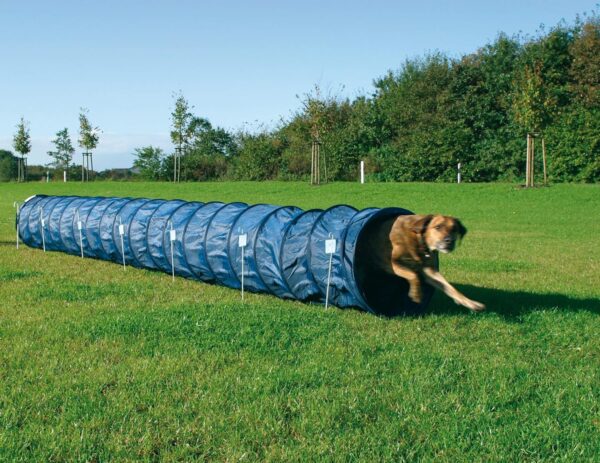 Trixie Dog Activity Agility Basic Tunnel, 60 cm ﾗ 5 m, Blue