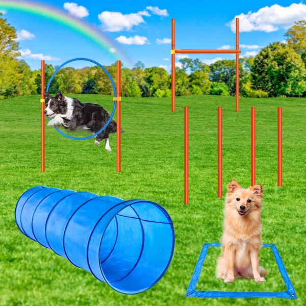 X XBEN Dog Agility Equipment Set Includes 60CM Dog Tunnel/Dog Agility Jumps/Dog Weave Poles/Dog Hurdle/Pause Box/Carrying Bag, Larger Agility Training Equipment for Dogs Outdoor Games