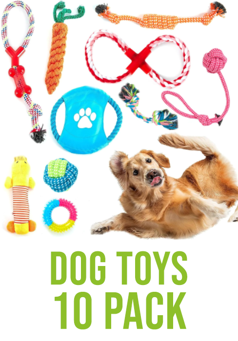 dog toys