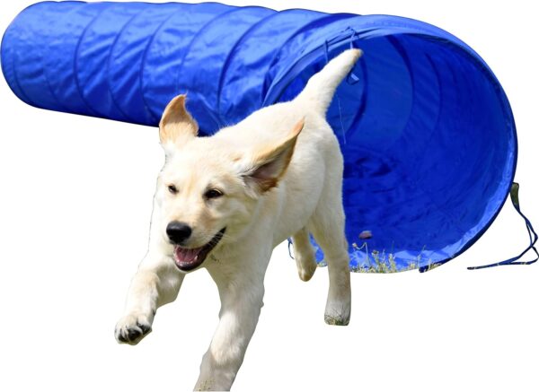 dobar® 50809 Agility Tunnel Size L - Agility Tunnel for Dogs - 3 m Tunnel for Training - Skill Training with Plastic Tunnel - Diameter 50 cm - Length 300 cm - Blue