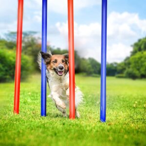 maxxpro Agility Slalom Set - Agility Set for Dogs - 60 x 3 cm - Plastic - Blue/Red