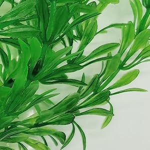 Artificial Seaweed for Aquarium (E.YOMOQGG)