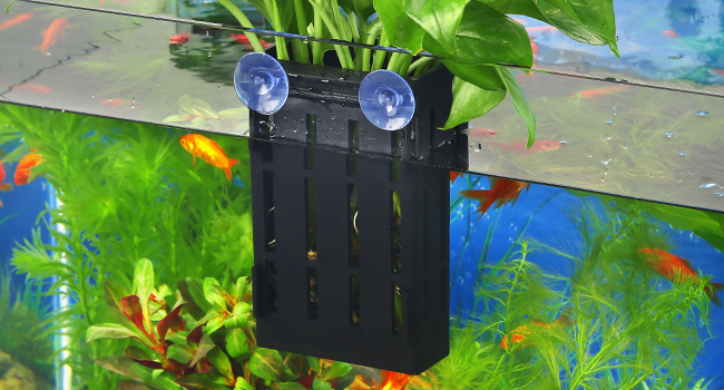 Aquarium Hanging Aquatic Plant Holder