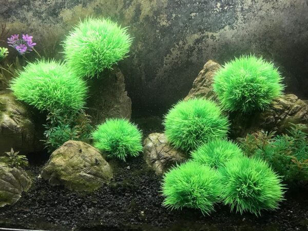 BEGONDIS Aquarium Decorations 4Pcs Green Grass Ball Water Plants, Artificial Fish Tank Decor, Made of Soft Plastic, Good for All Fish & Pets