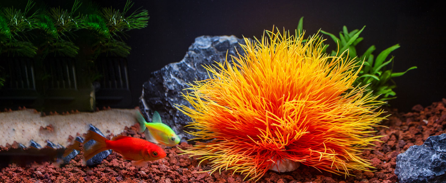 4-fish-tank-decorations-aquarium-decor-plants-fish-tank-decor-1464-600