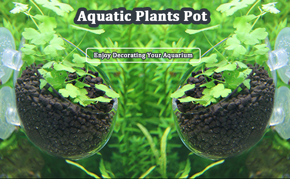 aquarium plants pot