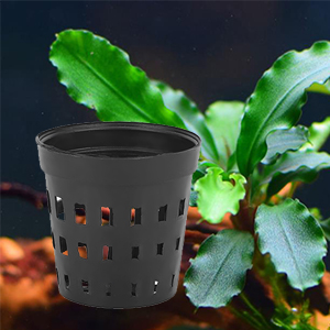 Aquarium Water Plants Planting Basket