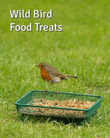 Wild Bird Food Treats