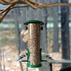 hanging feeder