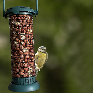 Grill Feeder for Nuts