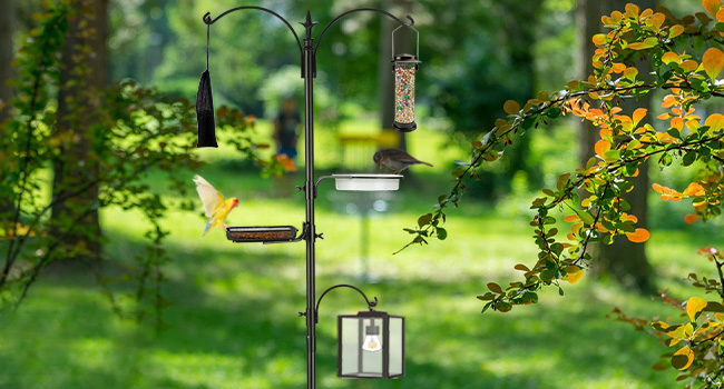 Bird Feeding Station Kit