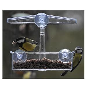 window feeder