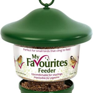 Hanging Lantern Garden Bird Feeder - My Favourites - Easy fill, rainproof roof, green