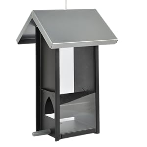 Cambridge Seed Feeder