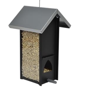 Cambridge Seed Feeder Wild Bird