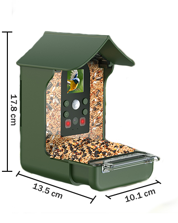 bird feeder