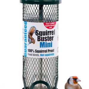 Jacobi Jayne SB-M Squirrel Proof Bird Feeder - Squirrel Buster Mini - Marauders off! Guaranteed Squirrel Proof/Metal, Green