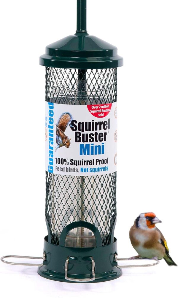 Jacobi Jayne SB-M Squirrel Proof Bird Feeder - Squirrel Buster Mini - Marauders off! Guaranteed Squirrel Proof/Metal, Green