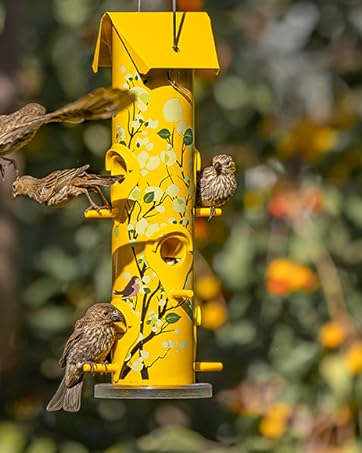 bird feeder