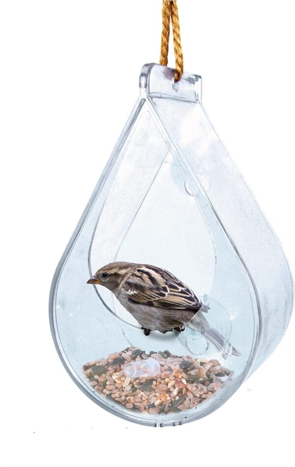 Wildlife World Dewdrop Clear Window Bird Feeder with Feeding Tray