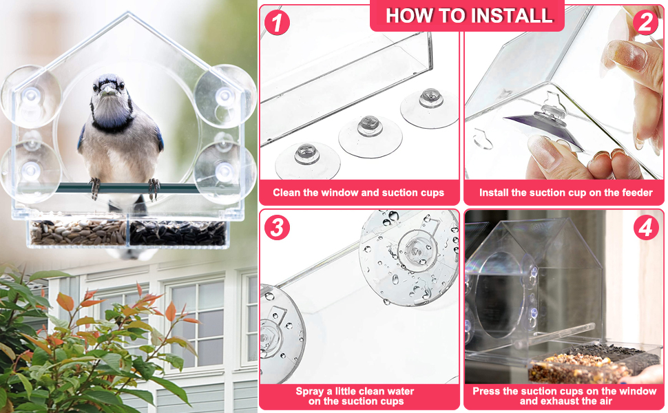 Window bird feeder 02