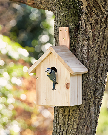 Nest Box