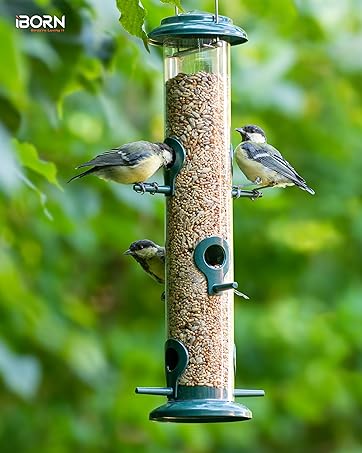 bird feeder