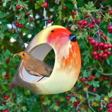 Ceramic Robin being used by the real thing