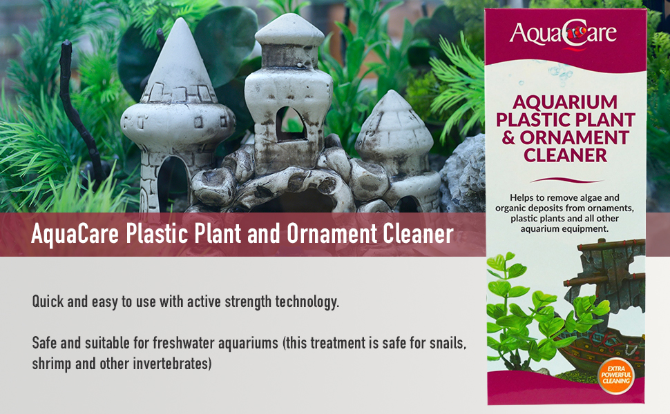 Plastic plant and ornament cleaner