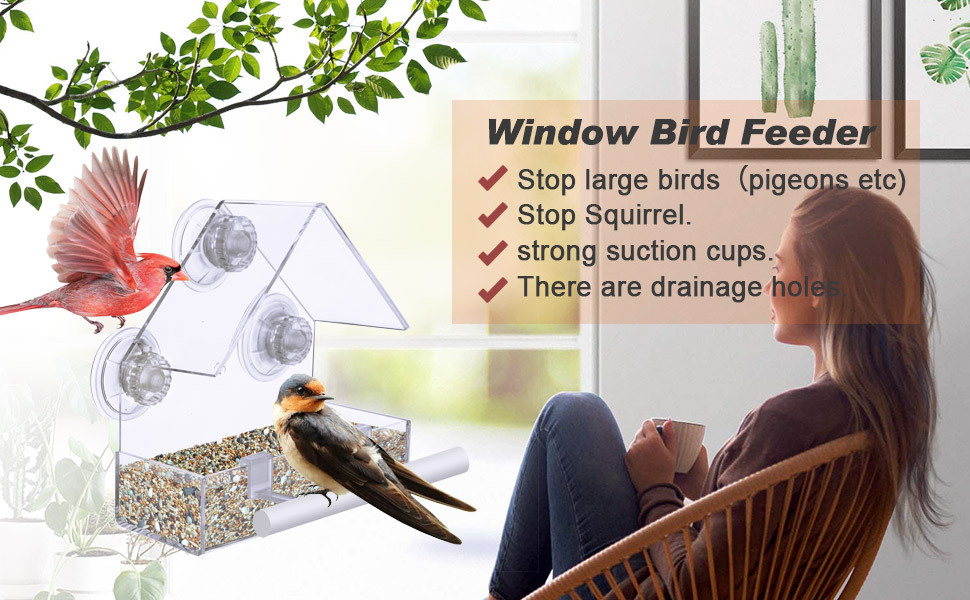 Window bird feeder