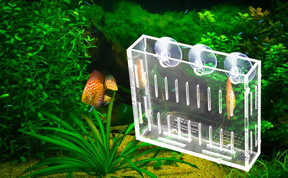 Fish Tank Water Plants Planter 