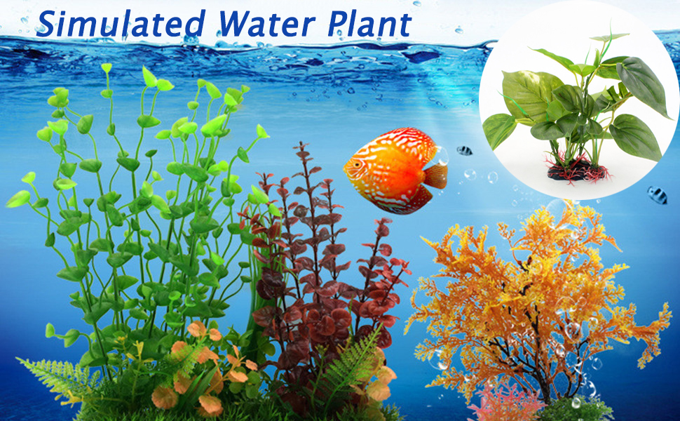 Fish Tank Plant