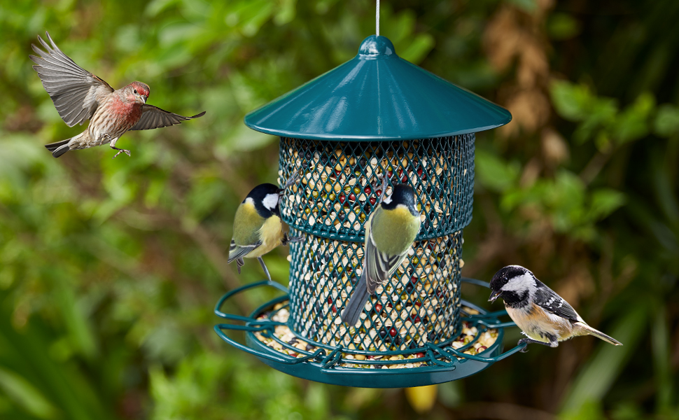 Metal Bird Feeder