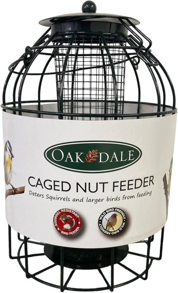 Oakdale Squirrel Resistant Peanut Bird Feeder