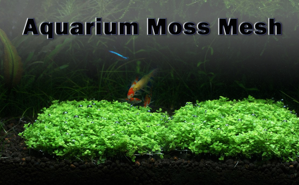 Aquarium moss mesh