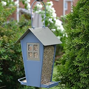 Filled Sutherland Feeder with Sunflower Heart