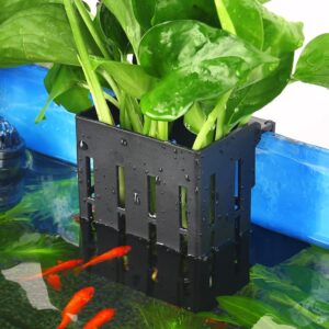 Upgraded Aquarium Plant Holder with Hooks and Suction Cups for Fish Tank Aquaponic Plants Cultivation and Aquascape Decorations (Black)