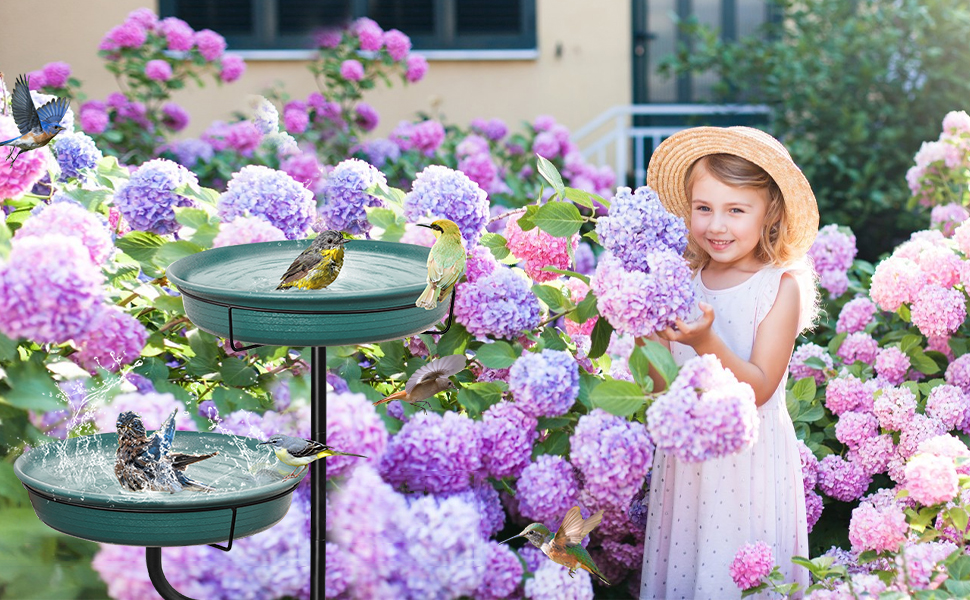 Bird Bath Feeder Water Station