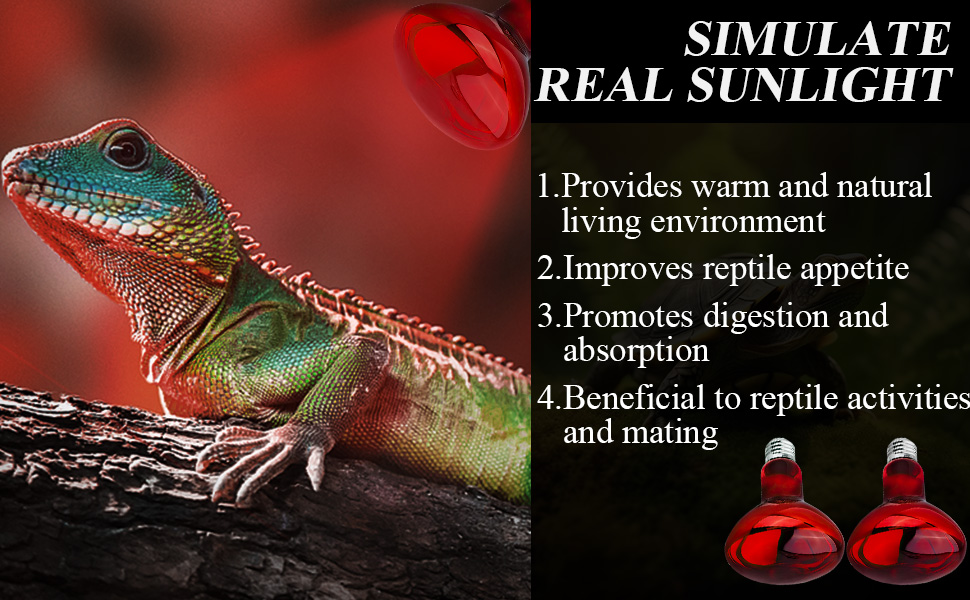 Infrared Reptile Heat Lamp Bulb