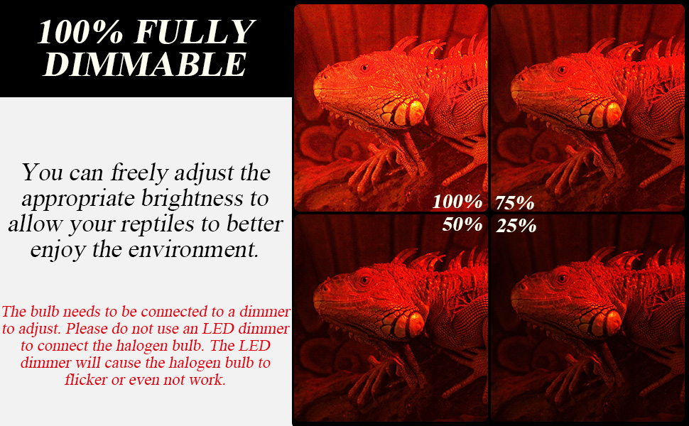 Infrared Reptile Heat Lamp Bulb