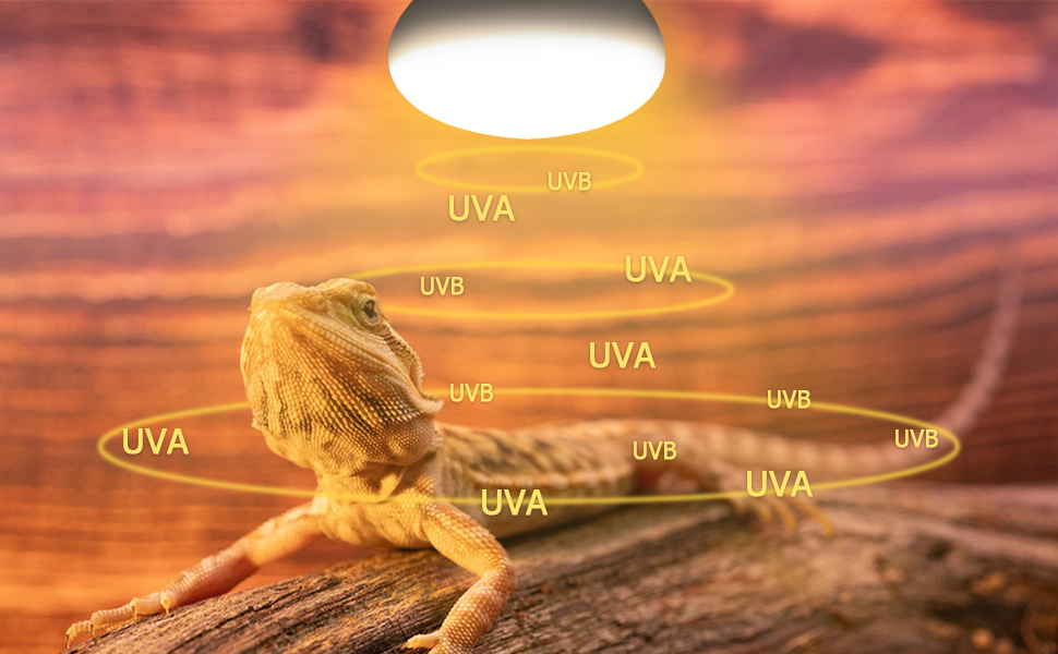 UVA UVB