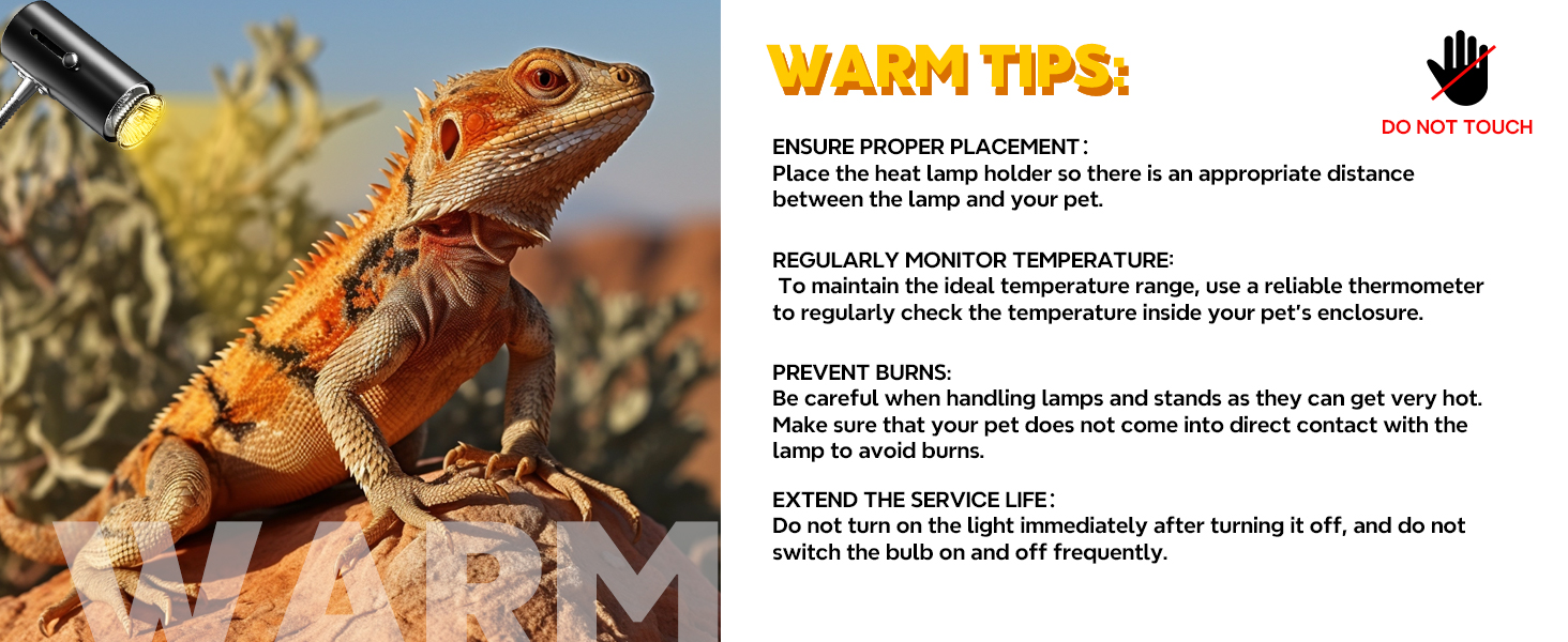 Reptile Heat Lamp