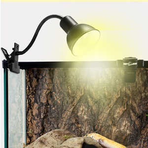 reptile heat lamp