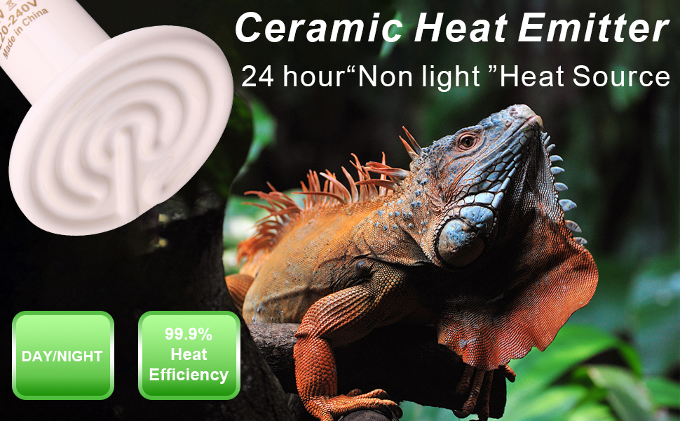 heat lamp for reptile