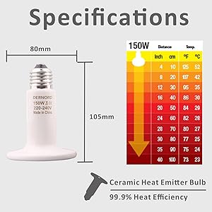 reptile heat bulb